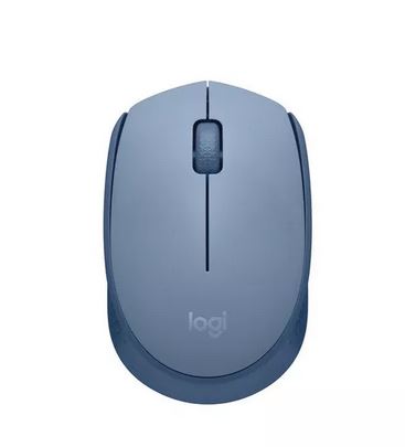 MOUSE LOGITECH M170 GRIS/AZUL Inalambrico WS (4)